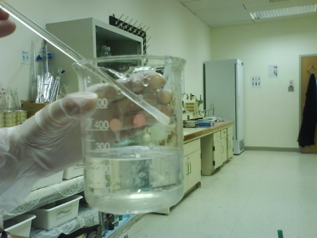 Student's DNA Extraction 